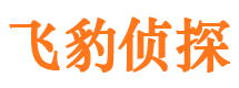 攸县市调查公司